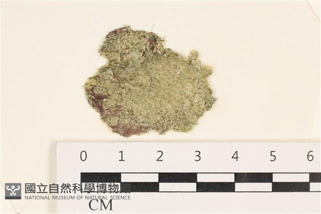 登錄號:A00003125藏品圖，第1張