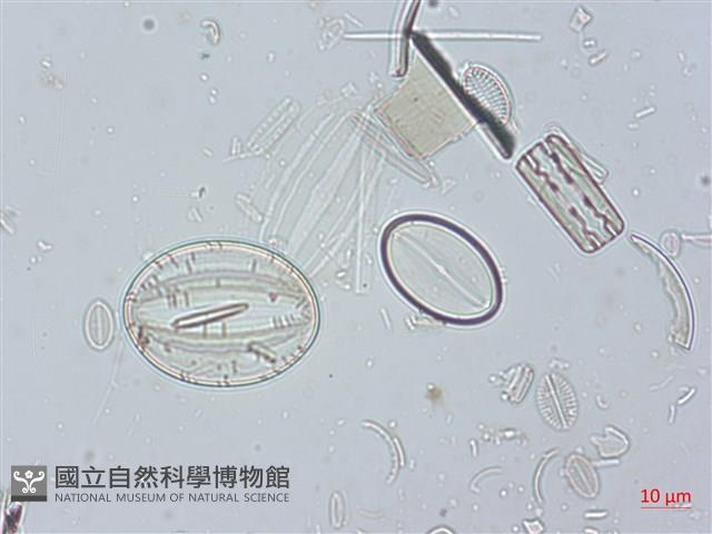登錄號:A00004525藏品圖，第3張