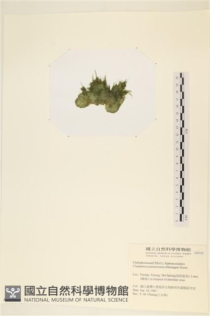 登錄號:A00002425藏品圖，第3張