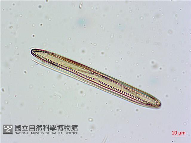 登錄號:A00004675藏品圖，第3張