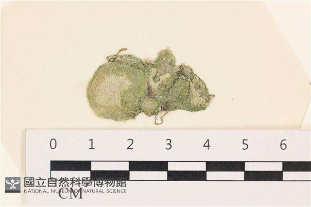 登錄號:A00002475藏品圖，第1張