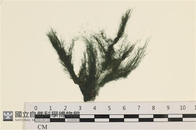 登錄號:A00001475藏品圖，第1張