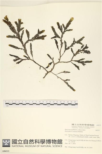 登錄號:A00006515藏品圖，第1張