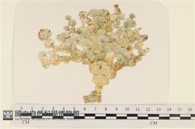 登錄號:A00004915藏品圖，第1張