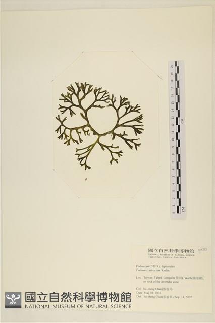 登錄號:A00005715藏品圖，第1張