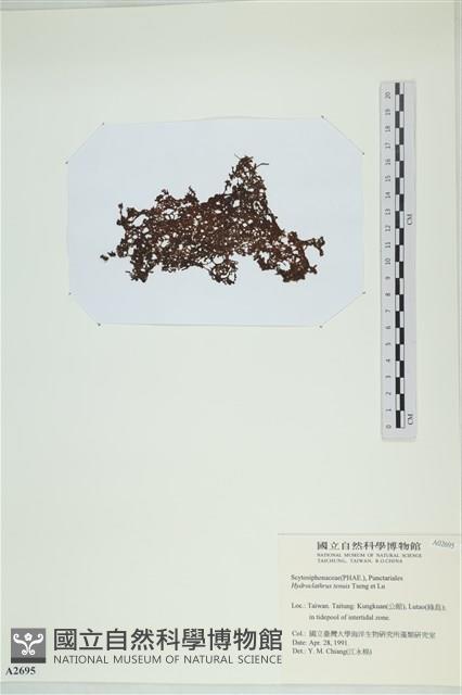 登錄號:A00002695藏品圖，第3張