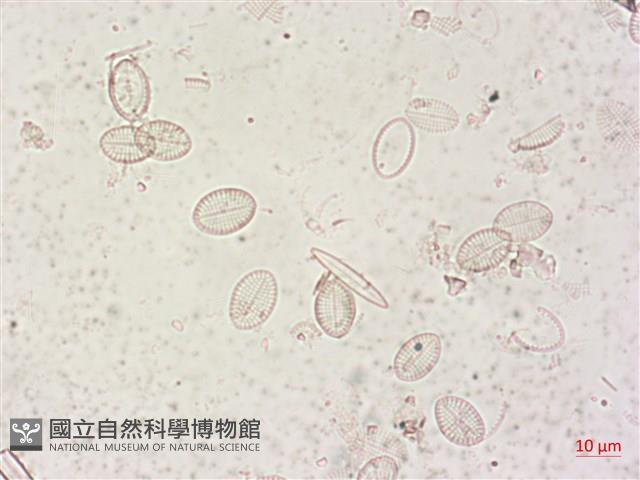 登錄號:A00004495藏品圖，第4張
