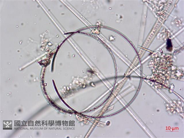 登錄號:A00004645藏品圖，第3張