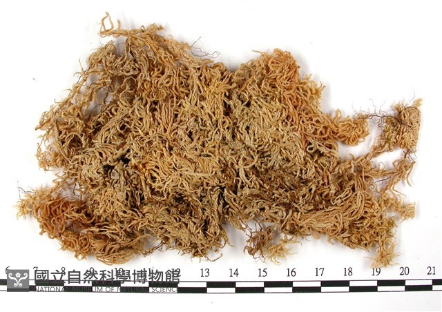 登錄號:B00003645藏品圖，第3張