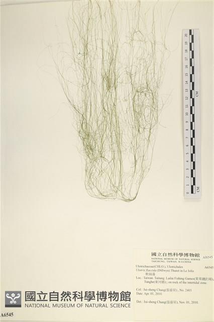 登錄號:A00006545藏品圖，第1張