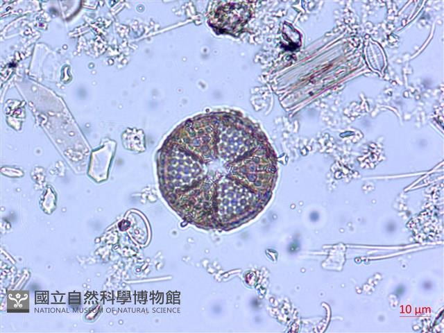 登錄號:A00004545藏品圖，第3張
