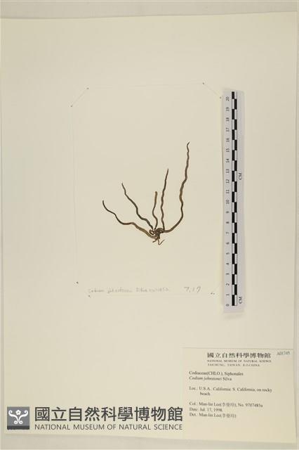 登錄號:A00001745藏品圖，第3張