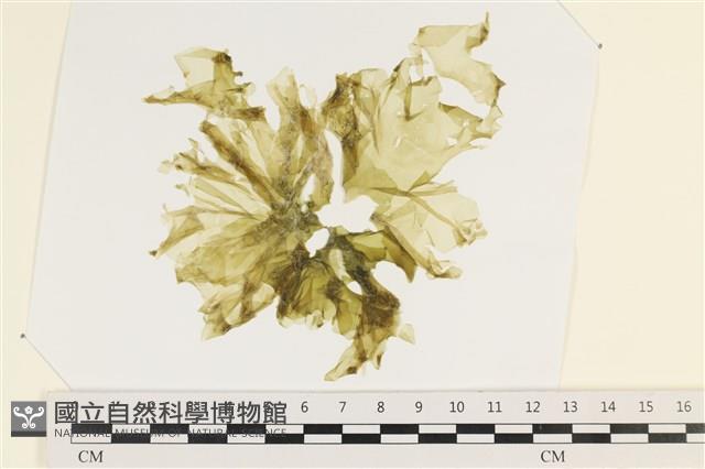 登錄號:A00003465藏品圖，第1張