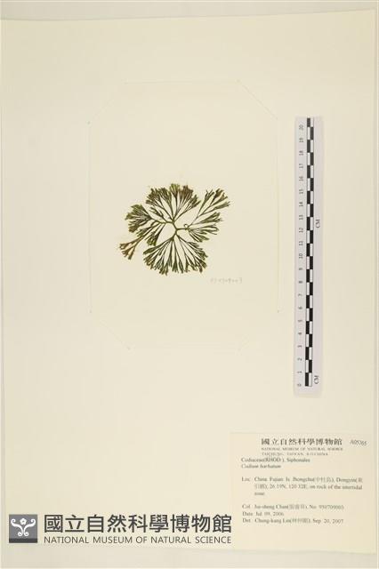 登錄號:A00005765藏品圖，第3張