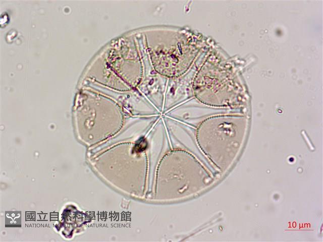 登錄號:A00004605藏品圖，第3張