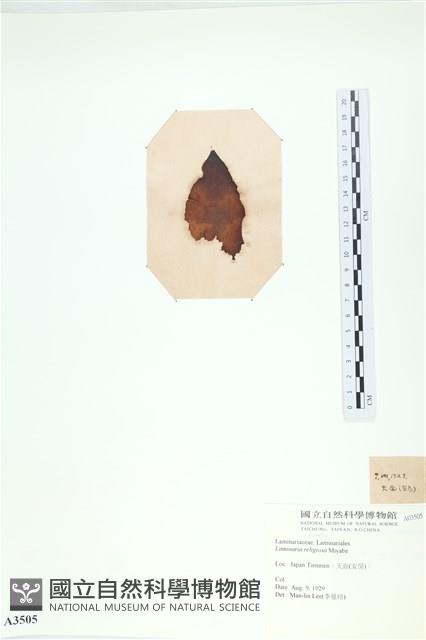 登錄號:A00003505藏品圖，第3張