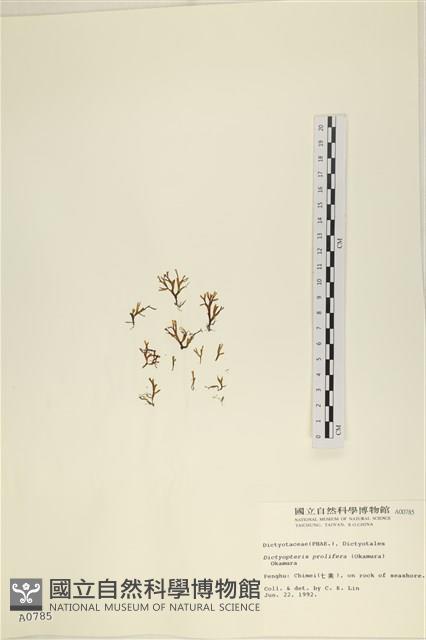 登錄號:A00000785藏品圖，第1張