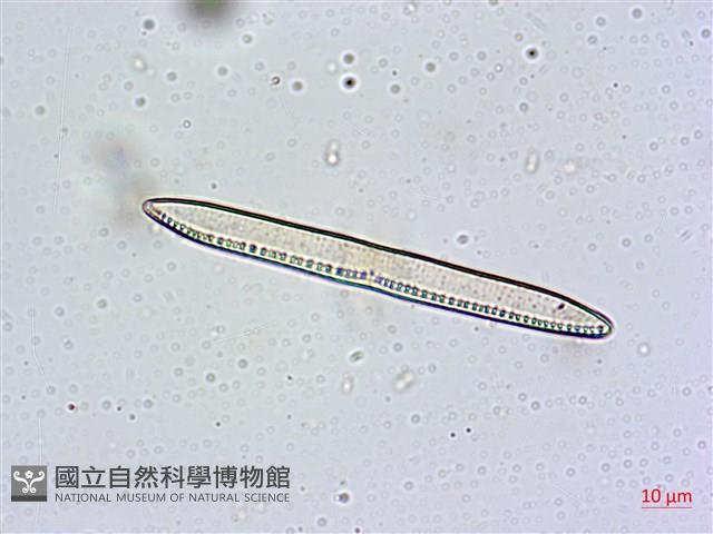 登錄號:A00004631藏品圖，第3張