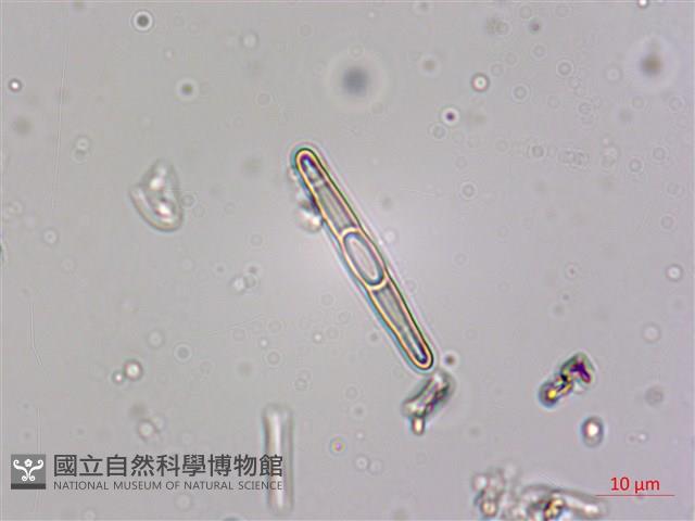 登錄號:A00004531藏品圖，第4張