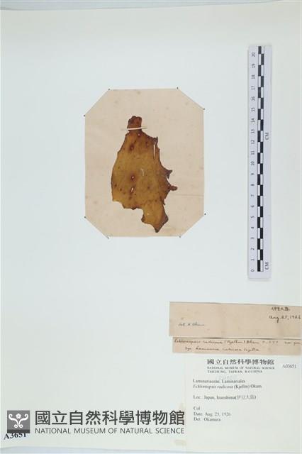 登錄號:A00003651藏品圖，第3張