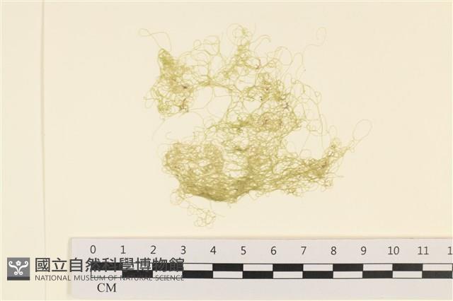 登錄號:A00001051藏品圖，第1張