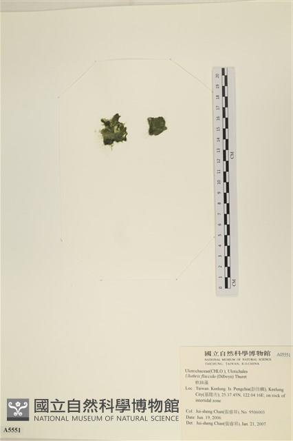 登錄號:A00005551藏品圖，第3張