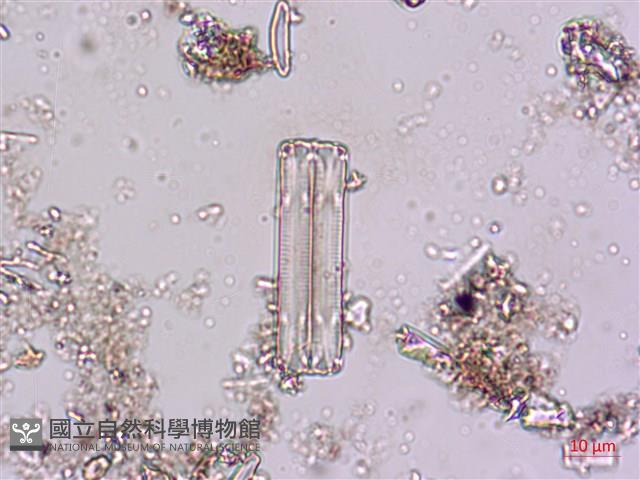 登錄號:A00004621藏品圖，第3張