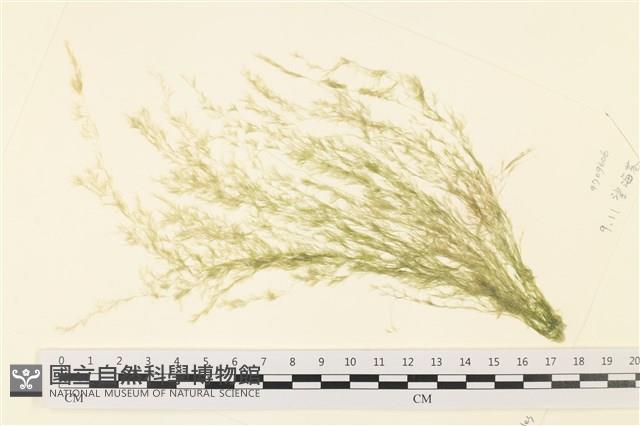 登錄號:A00001621藏品圖，第1張