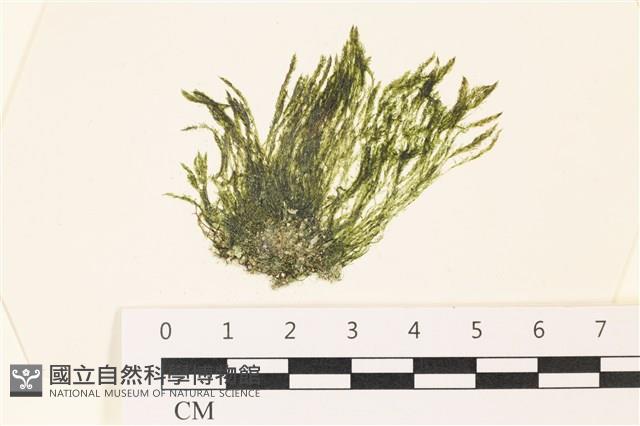 登錄號:A00002221藏品圖，第1張