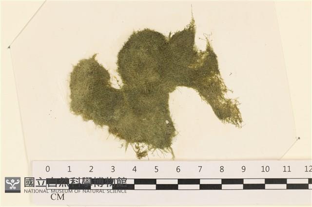 登錄號:A00002421藏品圖，第1張