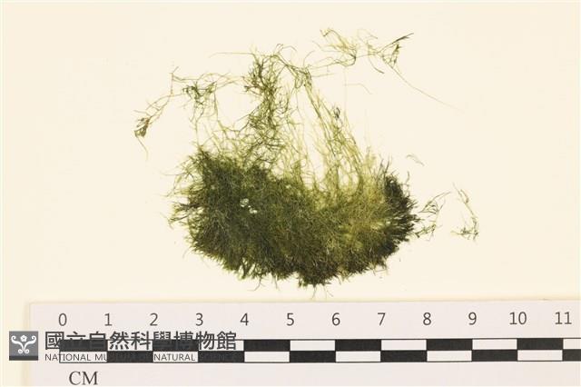 登錄號:A00004421藏品圖，第1張