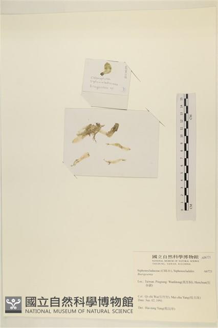 登錄號:A00006721藏品圖，第3張