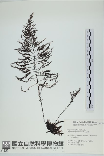 登錄號:A00001721藏品圖，第1張
