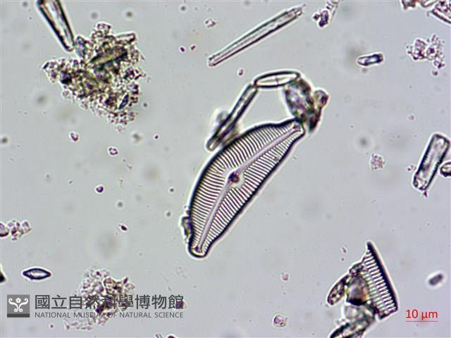 登錄號:A00004671藏品圖，第4張