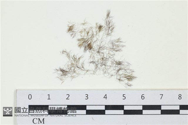 登錄號:A00004271藏品圖，第1張