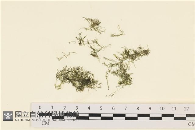 登錄號:A00000171藏品圖，第1張