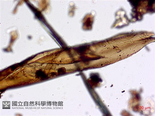 登錄號:A00004571藏品圖，第4張