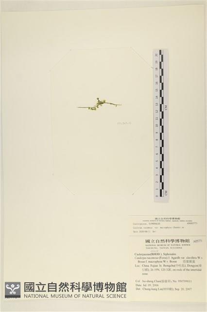 登錄號:A00005771藏品圖，第3張