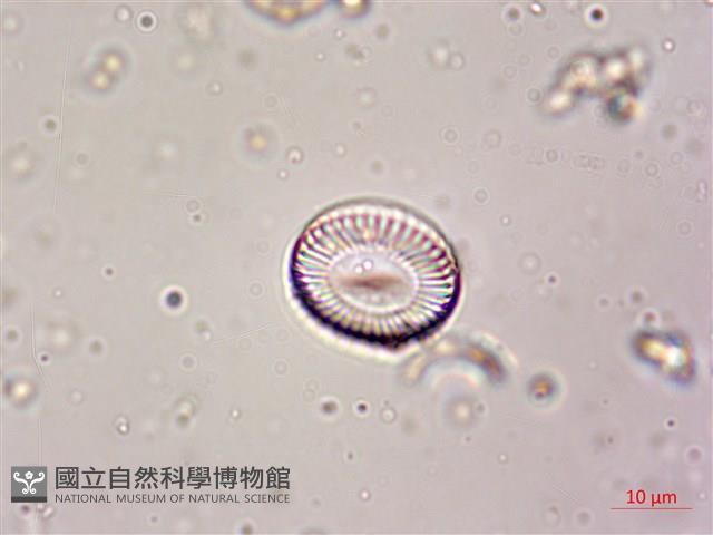 登錄號:A00004611藏品圖，第3張