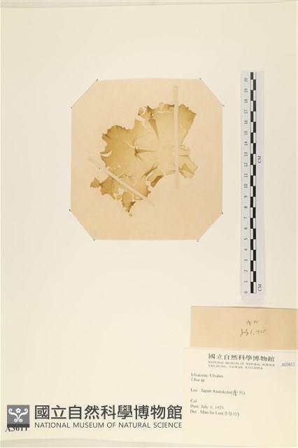 登錄號:A00003611藏品圖，第3張