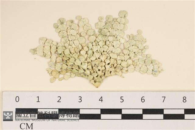 登錄號:A00005011藏品圖，第1張