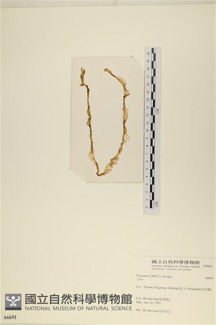 登錄號:A00006691藏品圖，第3張