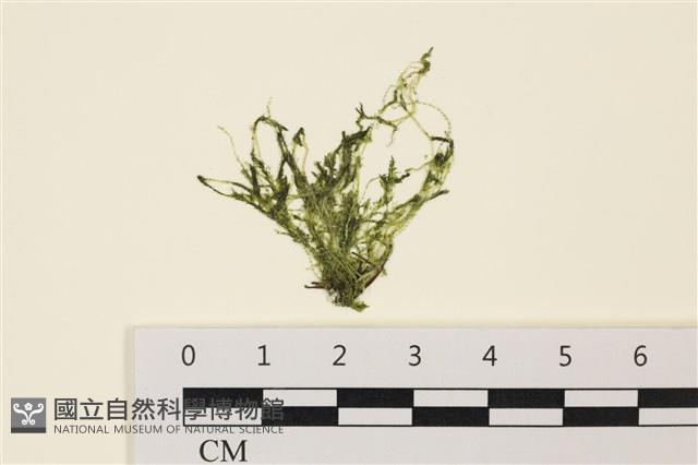 登錄號:A00006491藏品圖，第1張