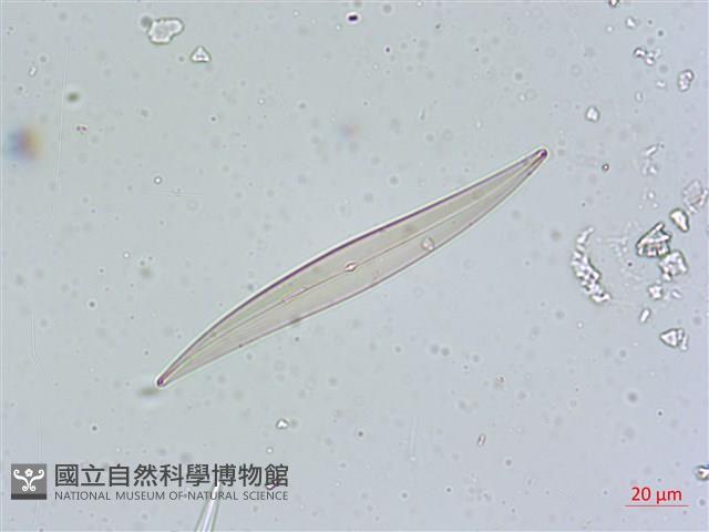 登錄號:A00004641藏品圖，第4張
