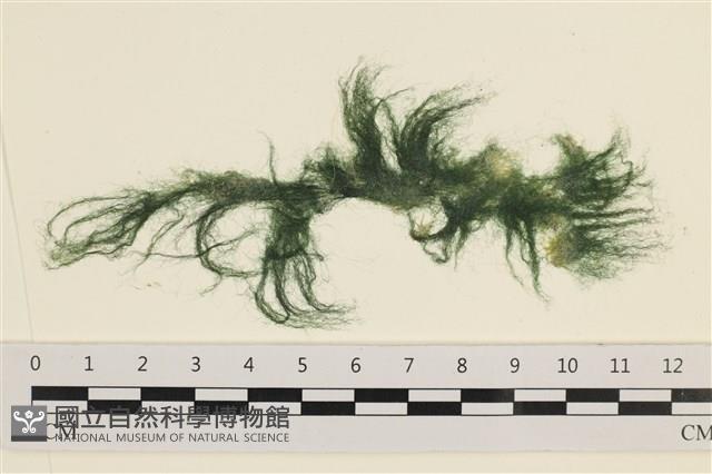 登錄號:A00001241藏品圖，第1張