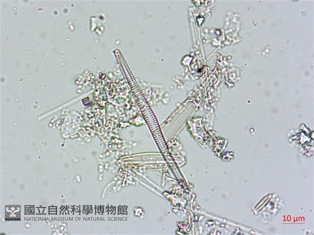 登錄號:A00004541藏品圖，第4張