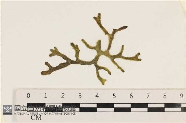 登錄號:A00002441藏品圖，第1張