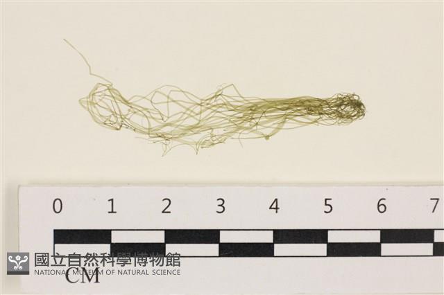 登錄號:A00003441藏品圖，第1張
