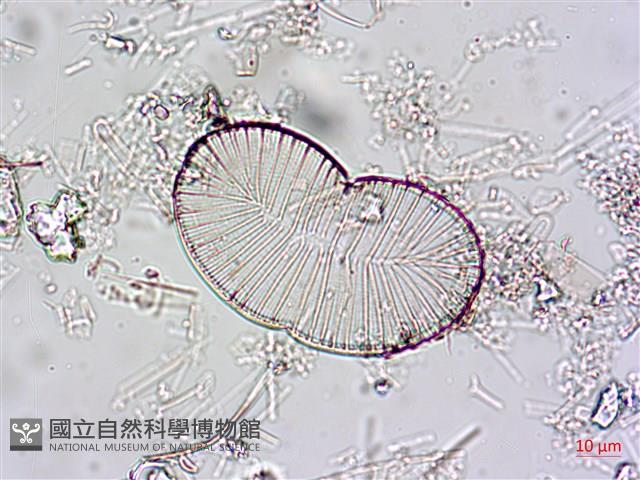 登錄號:A00004601藏品圖，第3張