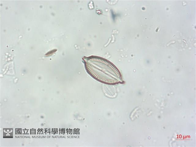 登錄號:A00004501藏品圖，第4張